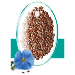 Supliment alimentar Pachet Ulei de Seminte de In, 120 capsule, ROTTA NATURA Supliment alimentar Pachet Ulei de Seminte de In, 120 capsule, ROTTA NATURA