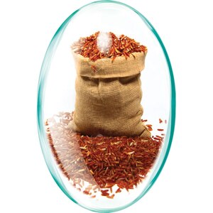 Supliment alimentar Red Yeast Rice, 30 capsule, ROTTA NATURA Supliment alimentar Red Yeast Rice, 30 capsule, ROTTA NATURA