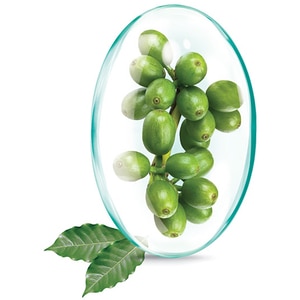 Supliment alimentar Pachet Green Coffe Extract, 180 capsule, ROTTA NATURA Supliment alimentar Pachet Green Coffe Extract, 180 capsule, ROTTA NATURA