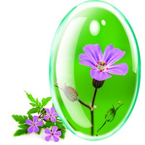 Supliment alimentar Napraznic Extract, 90 capsule, ROTTA NATURA Supliment alimentar Napraznic Extract, 90 capsule, ROTTA NATURA