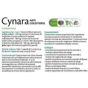 Supliment Cynara Anticolesterol-complex Forte, 30 capsule, ROTTA NATURA Supliment Cynara Anticolesterol-complex Forte, 30 capsule, ROTTA NATURA