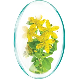 Supliment alimentar Hypericum Extract, 30 capsule, ROTTA NATURA Supliment alimentar Hypericum Extract, 30 capsule, ROTTA NATURA