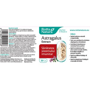 Supliment Astragalus Extract, 30 capsule, ROTTA NATURA Supliment Astragalus Extract, 30 capsule, ROTTA NATURA