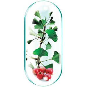 Supliment alimentar Ginkgo Forte Plus, 30 capsule, ROTTA NATURA Supliment alimentar Ginkgo Forte Plus, 30 capsule, ROTTA NATURA