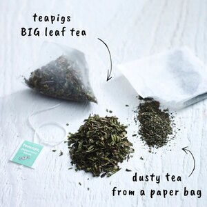 Ceai infuzie TEAPIGS Menta, 15 buc, 30g Ceai infuzie TEAPIGS Menta, 15 buc, 30g