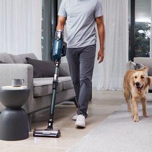 Aspirator vertical ROWENTA X-Force Flex 13.60 RH9AD1WO, 0.65l, autonomie max 60 min, albastru-negru Aspirator vertical ROWENTA X-Force Flex 13.60 RH9AD1WO, 0.65l, autonomie max 60 min, albastru-negru