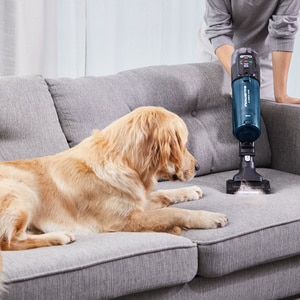Aspirator vertical ROWENTA X-Force Flex 13.60 RH9AD1WO, 0.65l, autonomie max 60 min, albastru-negru Aspirator vertical ROWENTA X-Force Flex 13.60 RH9AD1WO, 0.65l, autonomie max 60 min, albastru-negru