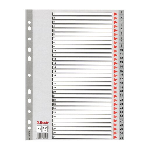 Separator ESSELTE 1-31, 225 x 297 mm, plastic, 11 perforatii, format A4, gri Separator ESSELTE 1-31, 225 x 297 mm, plastic, 11 perforatii, format A4, gri