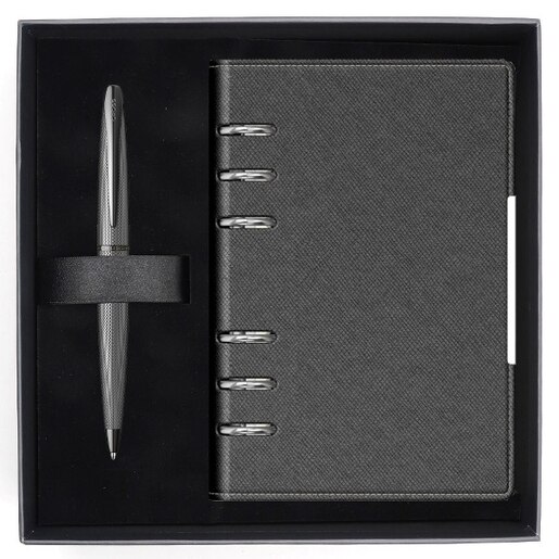 Set pix si organizator CROSS Brushed, gri Set pix si organizator CROSS Brushed, gri