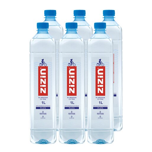 Apa plata ZIZIN bax 1L x 6 sticle Apa plata ZIZIN bax 1L x 6 sticle