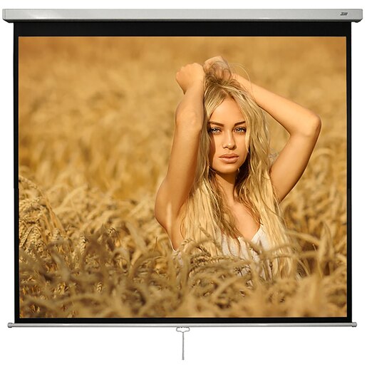 Ecran de proiectie manual BLACKMOUNT 1/1MN240-BM-ECRPER, 240 x 240 cm Ecran de proiectie manual BLACKMOUNT 1/1MN240-BM-ECRPER, 240 x 240 cm