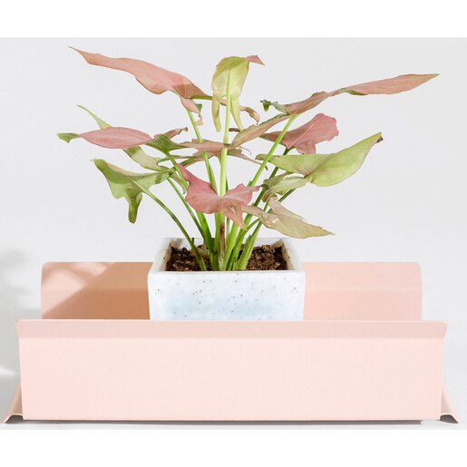 Suport ghiveci flori SPIN Fliss, 28.5 x 11 x 9 cm, roz Suport ghiveci flori SPIN Fliss, 28.5 x 11 x 9 cm, roz