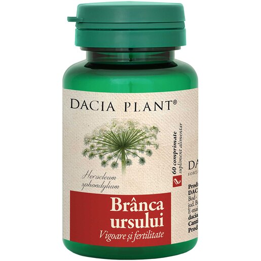 Supliment alimentar Branca Ursului, 60 comprimate, DACIA PLANT Supliment alimentar Branca Ursului, 60 comprimate, DACIA PLANT