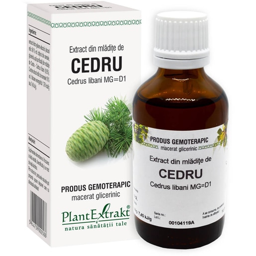Extract din Mladite de Cedru, 50 ml, PLANTEXTRAKT Extract din Mladite de Cedru, 50 ml, PLANTEXTRAKT