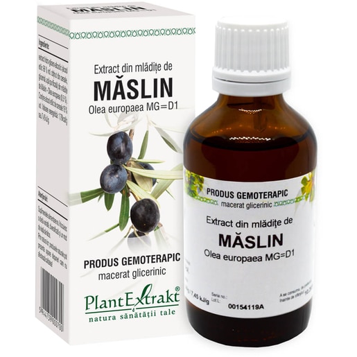 Extract din Mladite Maslin, 50 ml, PLANTEXTRAKT Extract din Mladite Maslin, 50 ml, PLANTEXTRAKT