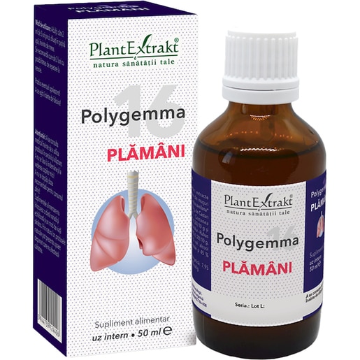 Polygemma 16 Plamani, 50 ml, PLANTEXTRAKT Polygemma 16 Plamani, 50 ml, PLANTEXTRAKT