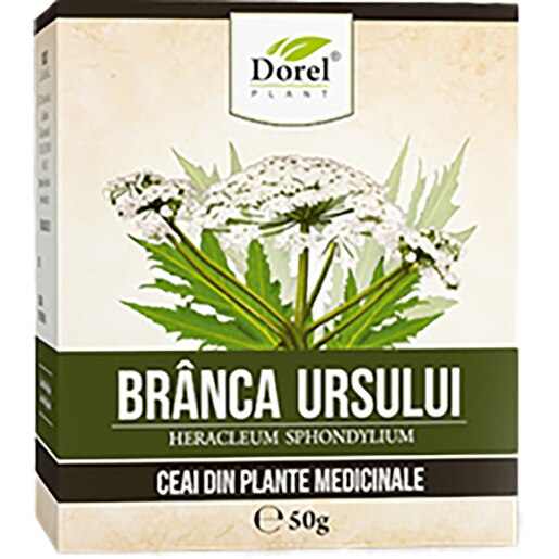 Ceai de branca ursului DOREL PLANT, 50 g Ceai de branca ursului DOREL PLANT, 50 g