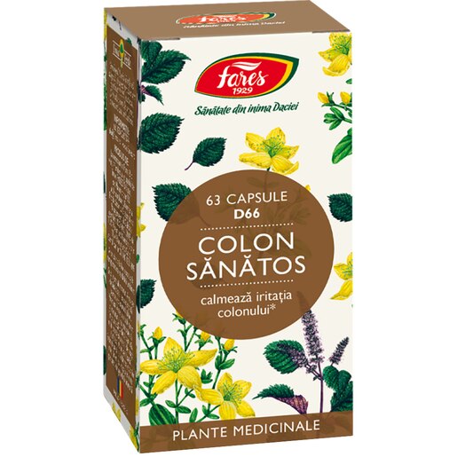 Supliment alimentar Colon Sanatos D66, 63 capsule, FARES Supliment alimentar Colon Sanatos D66, 63 capsule, FARES